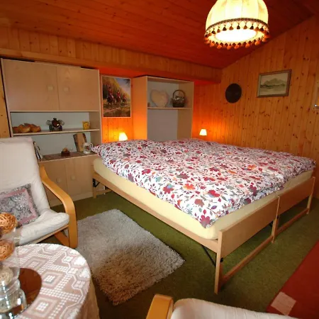 Holiday home Pristine Home In A Charming Village Large Grassy Sunbathing Area View Of The M Nch And Jungfrau