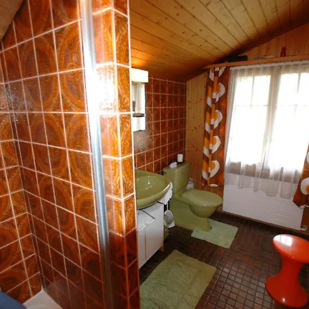 Pristine Home In A Charming Village Large Grassy Sunbathing Area View Of The M Nch And Jungfrau Wilderswil