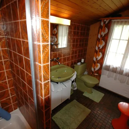Pristine Home In A Charming Village Large Grassy Sunbathing Area View Of The M Nch And Jungfrau