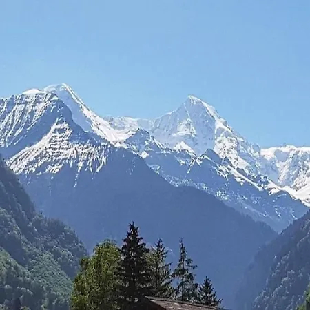 Pristine In A Charming Village Large Grassy Sunbathing Area View Of The M Nch And Jungfrau Wilderswil