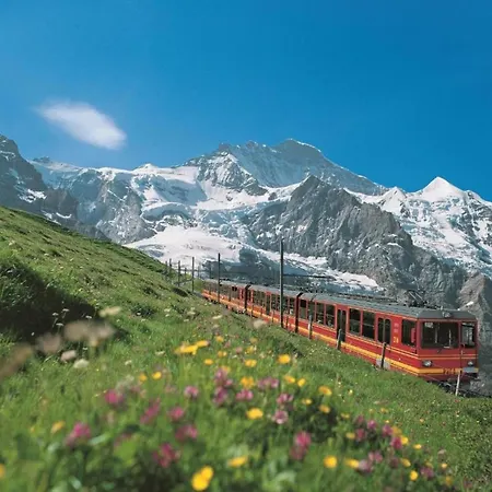 Pristine In A Charming Village Large Grassy Sunbathing Area View Of The M Nch And Jungfrau Ferienhaus *