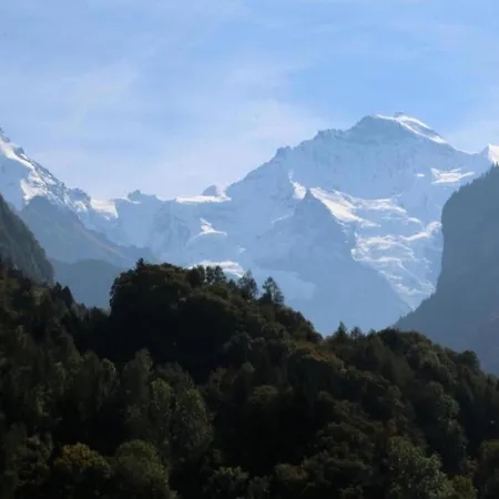Pristine In A Charming Village Large Grassy Sunbathing Area View Of The M Nch And Jungfrau Wilderswil