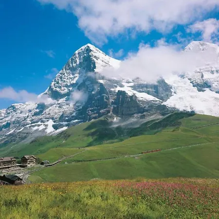Casa vacanze Pristine In A Charming Village Large Grassy Sunbathing Area View Of The M Nch And Jungfrau *