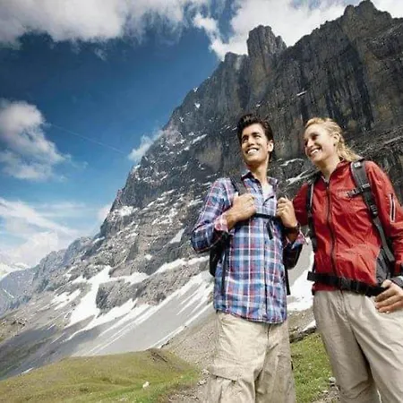 Pristine In A Charming Village Large Grassy Sunbathing Area View Of The M Nch And Jungfrau *