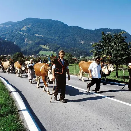 Pristine In A Charming Village Large Grassy Sunbathing Area View Of The M Nch And Jungfrau Wilderswil