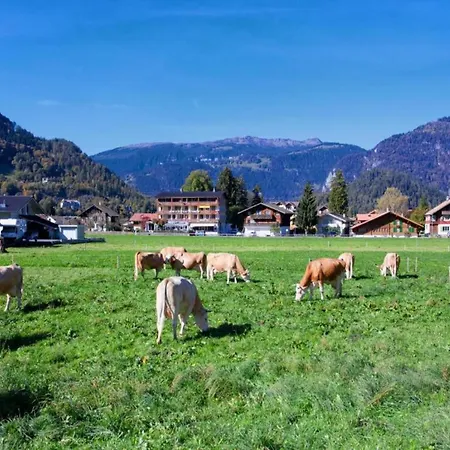 Ferienhaus Pristine In A Charming Village Large Grassy Sunbathing Area View Of The M Nch And Jungfrau