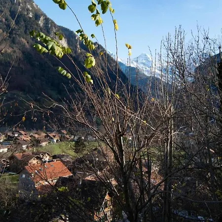 Ferienhaus Pristine In A Charming Village Large Grassy Sunbathing Area View Of The M Nch And Jungfrau