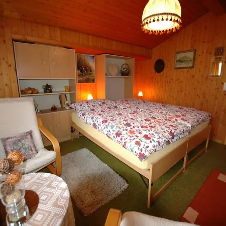 In With Jungfrau Views Dom wakacyjny *