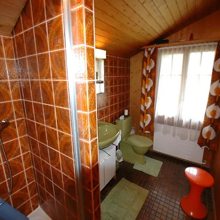 Chalet In Wilderswil With Jungfrau Views Holiday home *