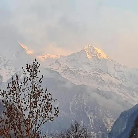 In With Jungfrau Views