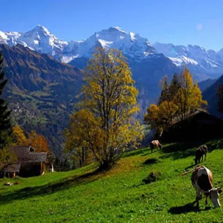 Сasa de vacaciones In With Jungfrau Views *
