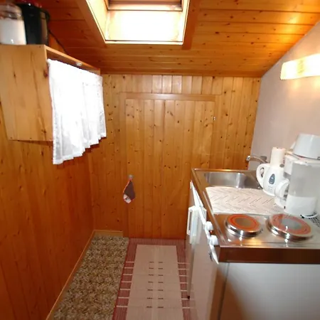 Pristine Home In A Charming Village Large Grassy Sunbathing Area View Of The M Nch And Jungfrau