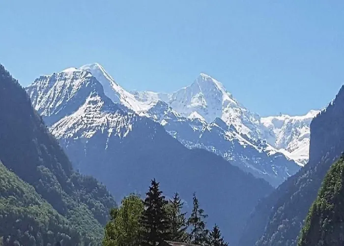 Feriehus In With Jungfrau Views