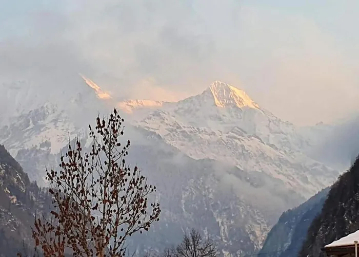 In With Jungfrau Views