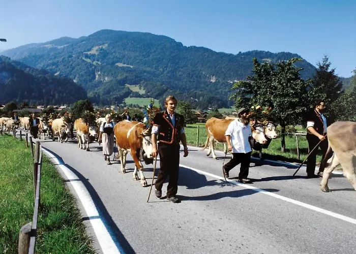 In With Jungfrau Views Feriehus *