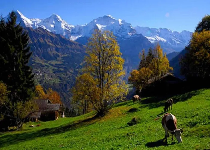Feriehus In With Jungfrau Views *