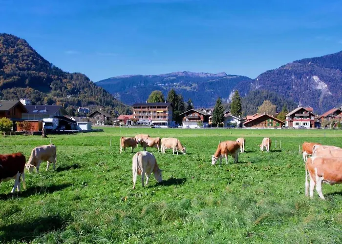 Feriehus In With Jungfrau Views *