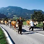 Chalet In Wilderswil With Jungfrau Views Holiday home *