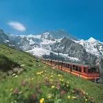 In With Jungfrau Views *