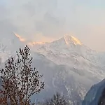 In With Jungfrau Views