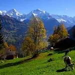 Ferienhaus In With Jungfrau Views *