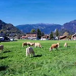 Ferienhaus In With Jungfrau Views *