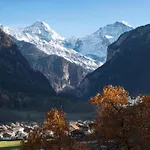 In With Jungfrau Views *